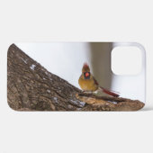 Mijn troll doet iPhone Case (Achterkant (horizontaal))