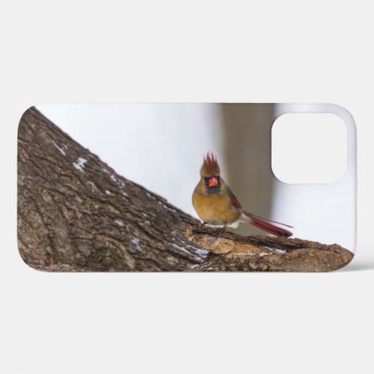 Mijn troll doet iPhone Case (Achterkant (horizontaal))