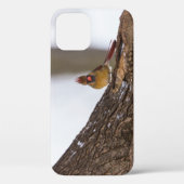 Mijn troll doet iPhone Case (Achterkant)