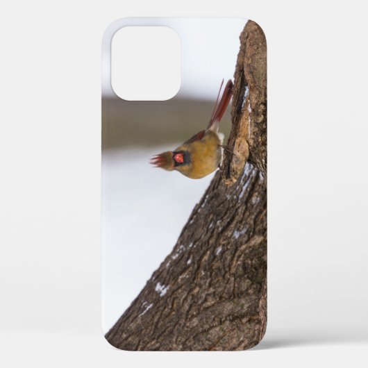 Mijn troll doet iPhone Case (Achterkant)