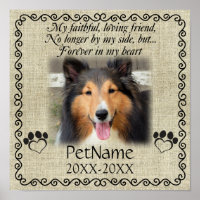 Mijn trouwe vriendinnetje Voetbal