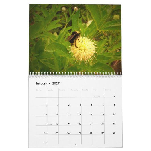 Mijn tuin van 2014 kalender (Jan 2027)