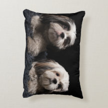 Mijn twee bewakers Shih Tzu Accent Pillow