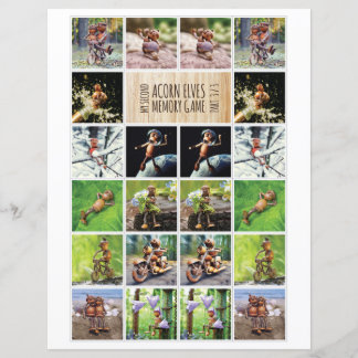 Mijn tweede Acorn Elves Memory spel 3/3