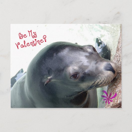 Mijn Valentijn Seal Feestdagenkaart (Voorkant)