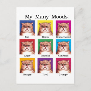 Mijn vele Moods Briefkaart