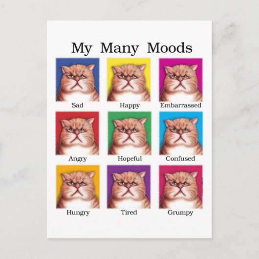 Mijn vele Moods Briefkaart (Voorkant)