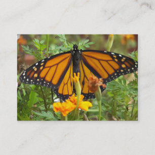 Mijn visitekaartjes van de Monarch Butterfly