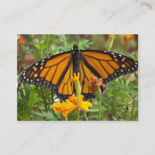 Mijn visitekaartjes van de Monarch Butterfly (Voorkant)