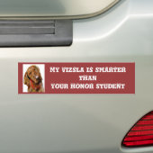 Mijn Vizsla is slimmere Bumpersticker (Op auto)