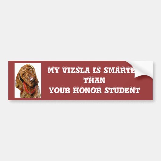 Mijn Vizsla is slimmere Bumpersticker (Voorkant)