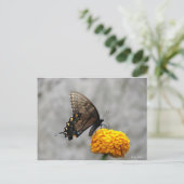 Mijn vlinderkaart briefkaart (Staand voorkant)