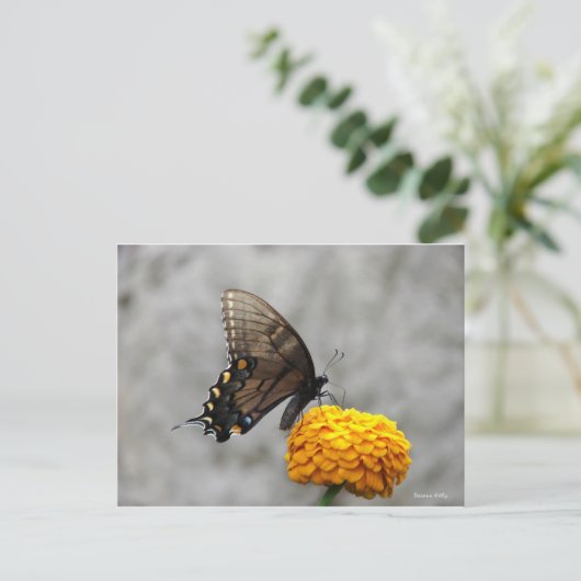 Mijn vlinderkaart briefkaart (Staand voorkant)