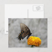 Mijn vlinderkaart briefkaart (Voorkant / Achterkant)