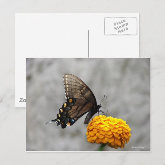 Mijn vlinderkaart briefkaart (Voorkant / Achterkant)