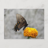 Mijn vlinderkaart briefkaart (Voorkant)