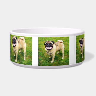 MIJN VOEDSELKRANT KLEINE DOG KUNNEN VERGETEN VOERBAKJE