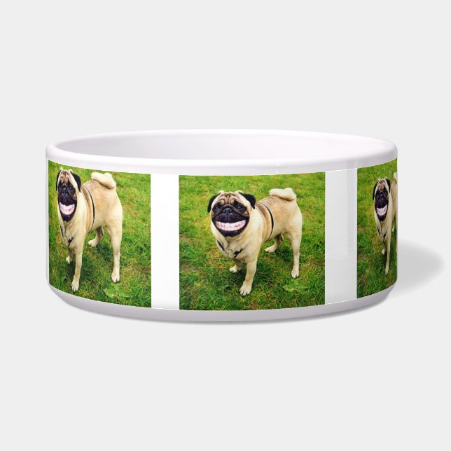 MIJN VOEDSELKRANT KLEINE DOG KUNNEN VERGETEN VOERBAKJE (Rechts)