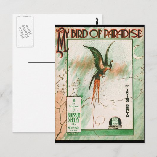 Mijn vogel van het  Hoesje van het Blad van de Muz Briefkaart (Voorkant / Achterkant)