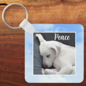 Mijn vrede Ik geef je Bijbel Verse Hond in Blue Sk Sleutelhanger (Voorkant)