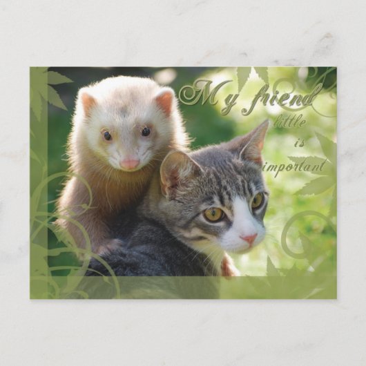 Mijn vriend briefkaart (Voorkant)