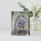 Mijn Vriend Fuzzy Briefkaart (Staand voorkant)