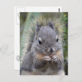 Mijn Vriend Fuzzy Briefkaart (Voorkant / Achterkant)