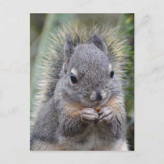 Mijn Vriend Fuzzy Briefkaart (Voorkant)