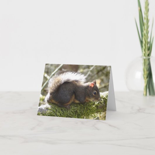 Mijn vriend Fuzzy Kaart (Voorkant)