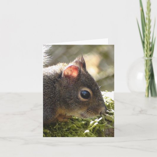 Mijn vriend Fuzzy Kaart (Voorkant)