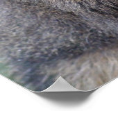 Mijn vriend Fuzzy Poster (Hoek)