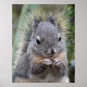 Mijn vriend Fuzzy Poster