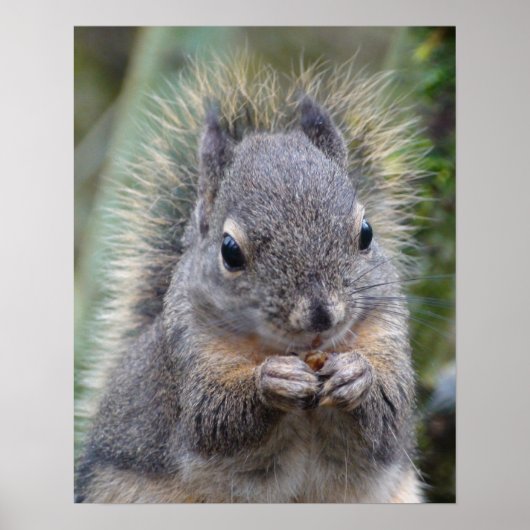 Mijn vriend Fuzzy Poster (Voorkant)