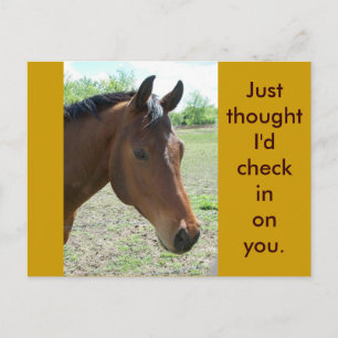 Mijn vriend, het paard briefkaart