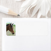 Mijn vriend, het paard - gepersonaliseerd etiket (Insitu)