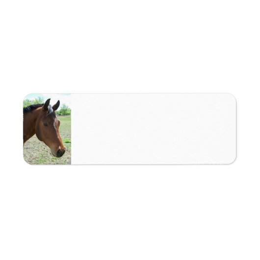 Mijn vriend, het paard - gepersonaliseerd etiket (Voorkant)