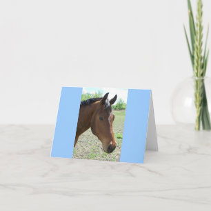 Mijn vriend, het paard kaart