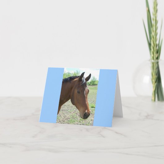 Mijn vriend, het paard kaart (Voorkant)