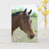 Mijn vriend, het paard kaart (Gele Bloem)