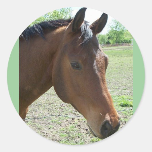 Mijn vriend, het paard ronde sticker (Voorkant)