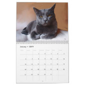 Mijn vrienden Trio Kalender (Jan 2019)