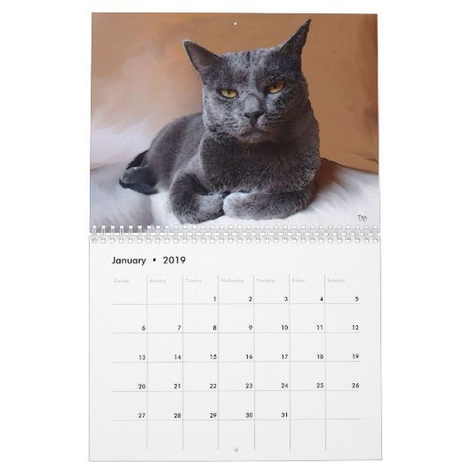 Mijn vrienden Trio Kalender (Jan 2019)