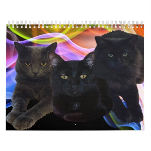 Mijn vrienden Trio Kalender (Hoes)