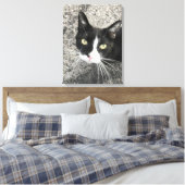 Mijn vroegere kat canvas afdruk (Insitu (Slaapkamer))