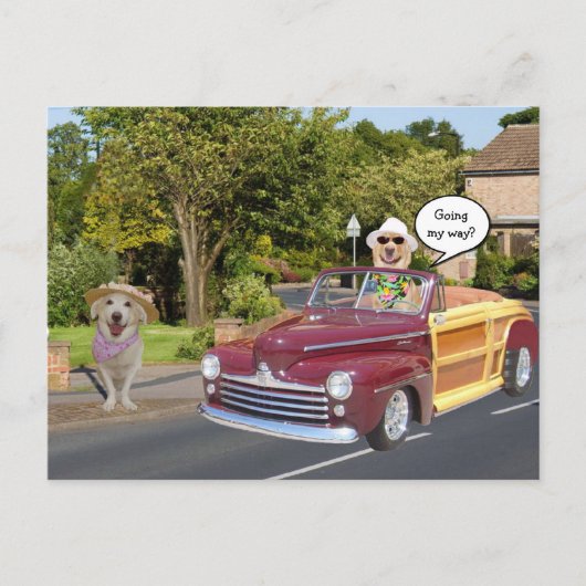 Mijn weg? briefkaart (Voorkant)