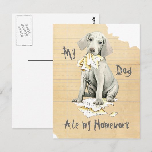 Mijn weimaraner Ate Mijn thuiswerk Briefkaart (Voorkant / Achterkant)