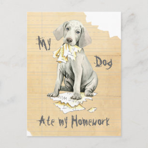 Mijn weimaraner Ate Mijn thuiswerk Briefkaart