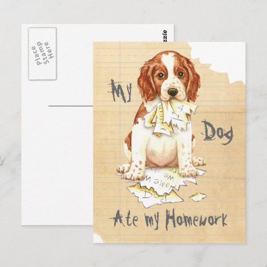 Mijn Welsh Springer Ate Mijn thuiswerk Briefkaart (Voorkant / Achterkant)