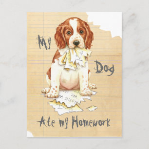 Mijn Welsh Springer Ate Mijn thuiswerk Briefkaart