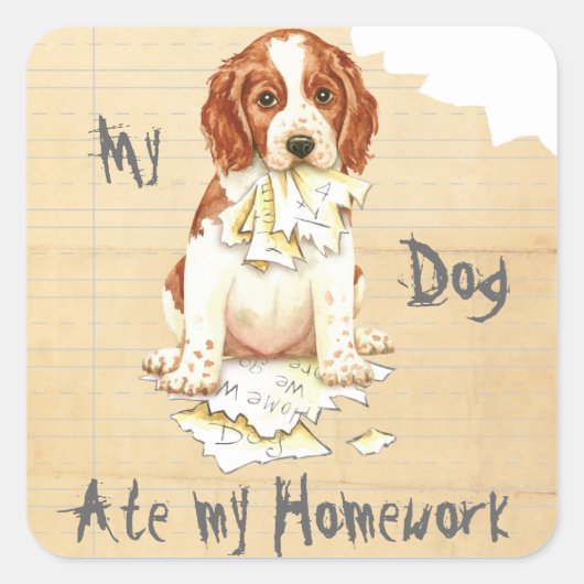 Mijn Welsh Springer Ate Mijn thuiswerk Vierkante Sticker (Voorkant)